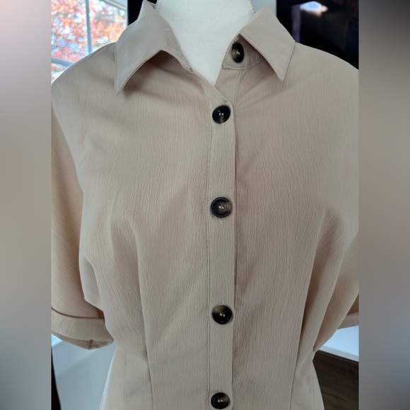 Beige Button-Up Midi Dress - Picture 4 of 4